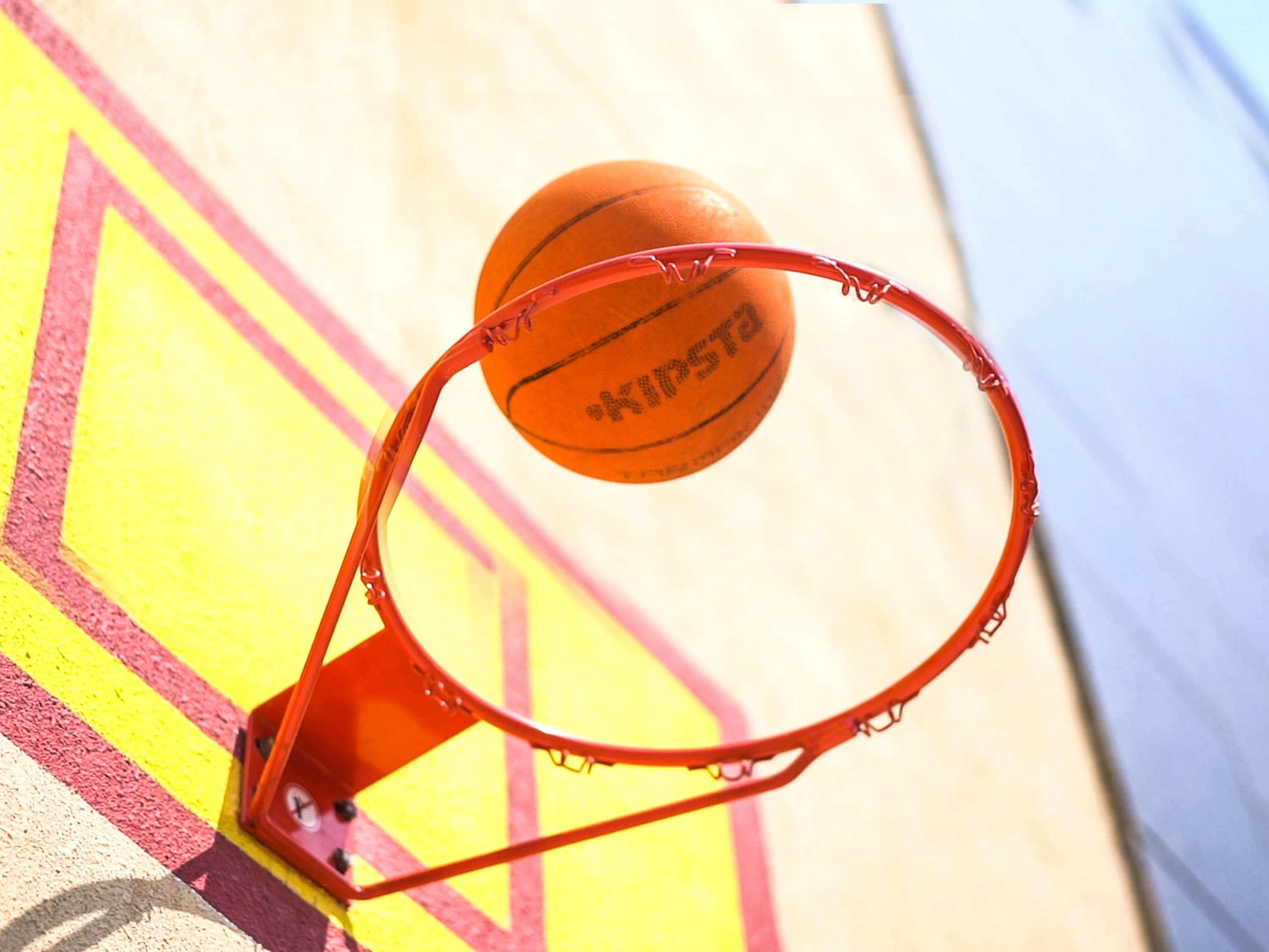 Novotel Chennai Sipcot Exterior foto A basketball entering a hoop
